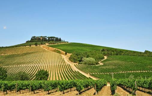 Chianti & the Val d’Elsa Guided Walking Holiday
