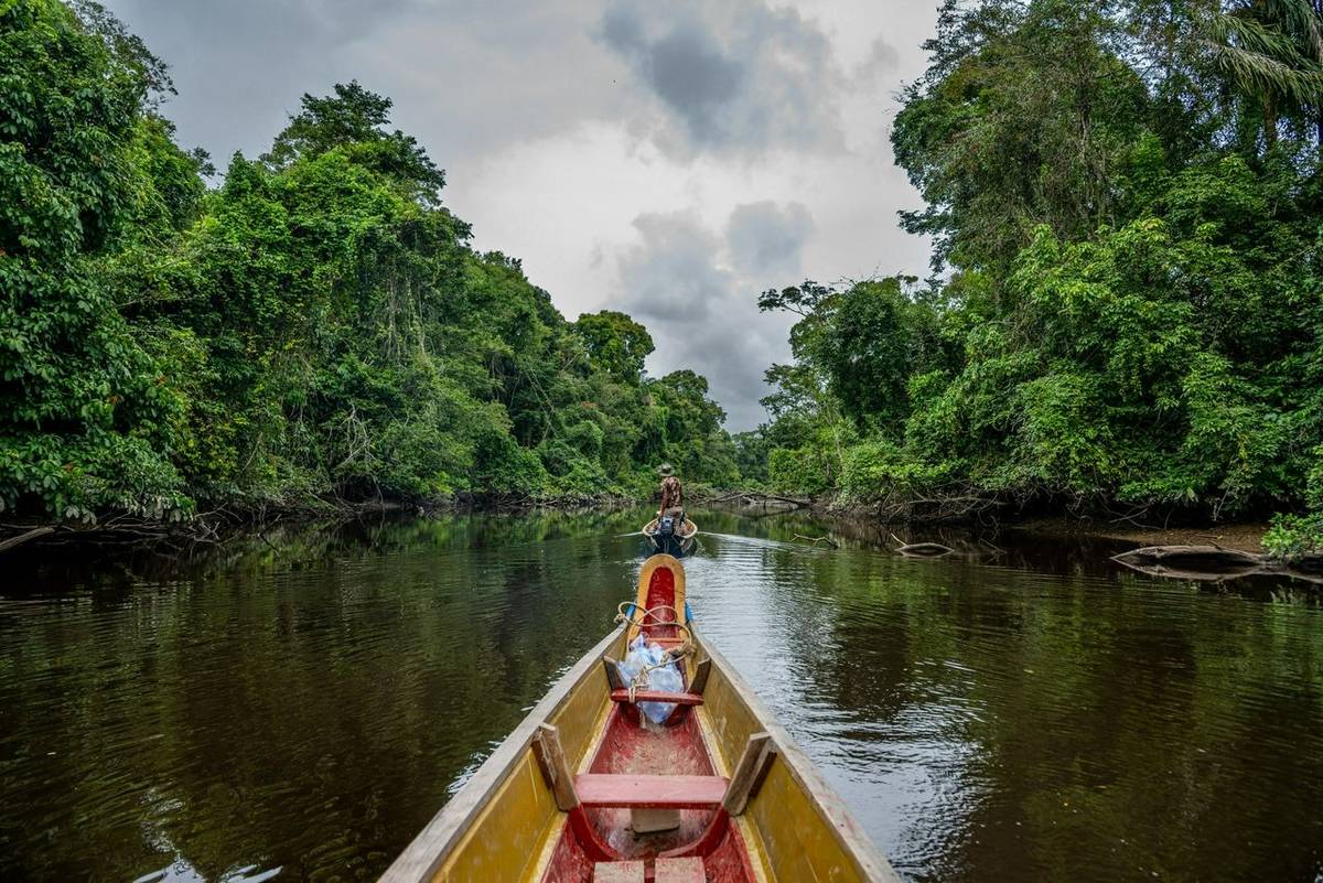 Maratakka River © A J Bradshaw, March 2026 tour
