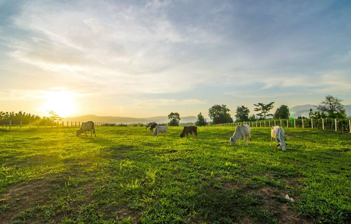 Day5_shutterstock_189813593.jpg Day5_shutterstock_189813593.jpg