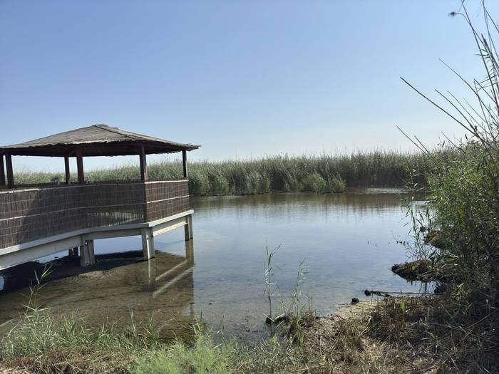 Jahra Pool Reserve © A AlSirhan