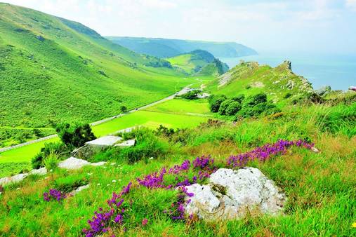 Exmoor