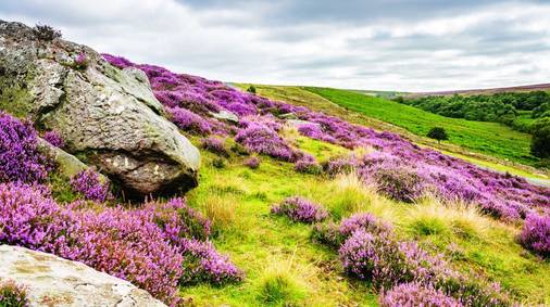 3 Night North York Moors Guided Walking Holiday