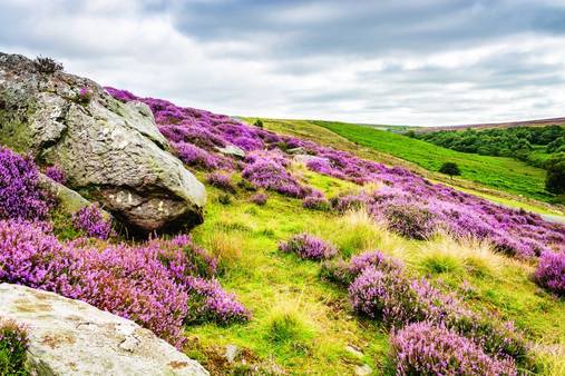 North York Moors