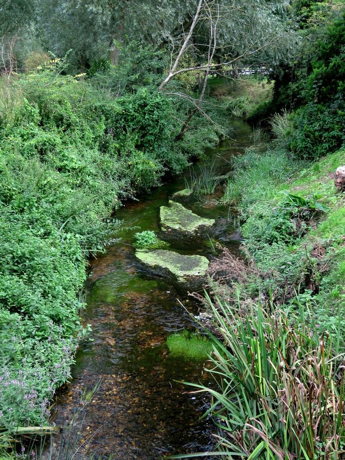 River Colne at Chappel.JPG