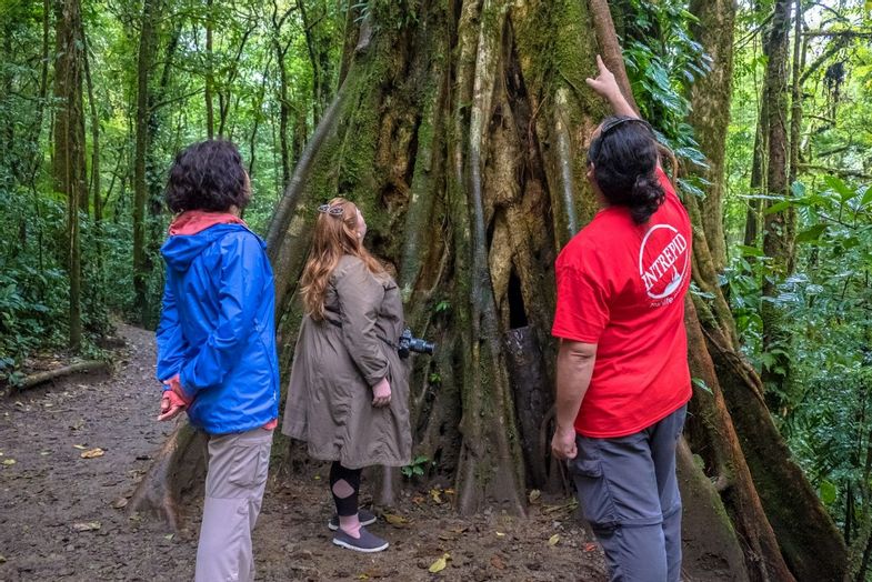 Intrepid Travel-CostaRica-Monteverde-Park-female-travellers-Leader-Tree-01.jpg