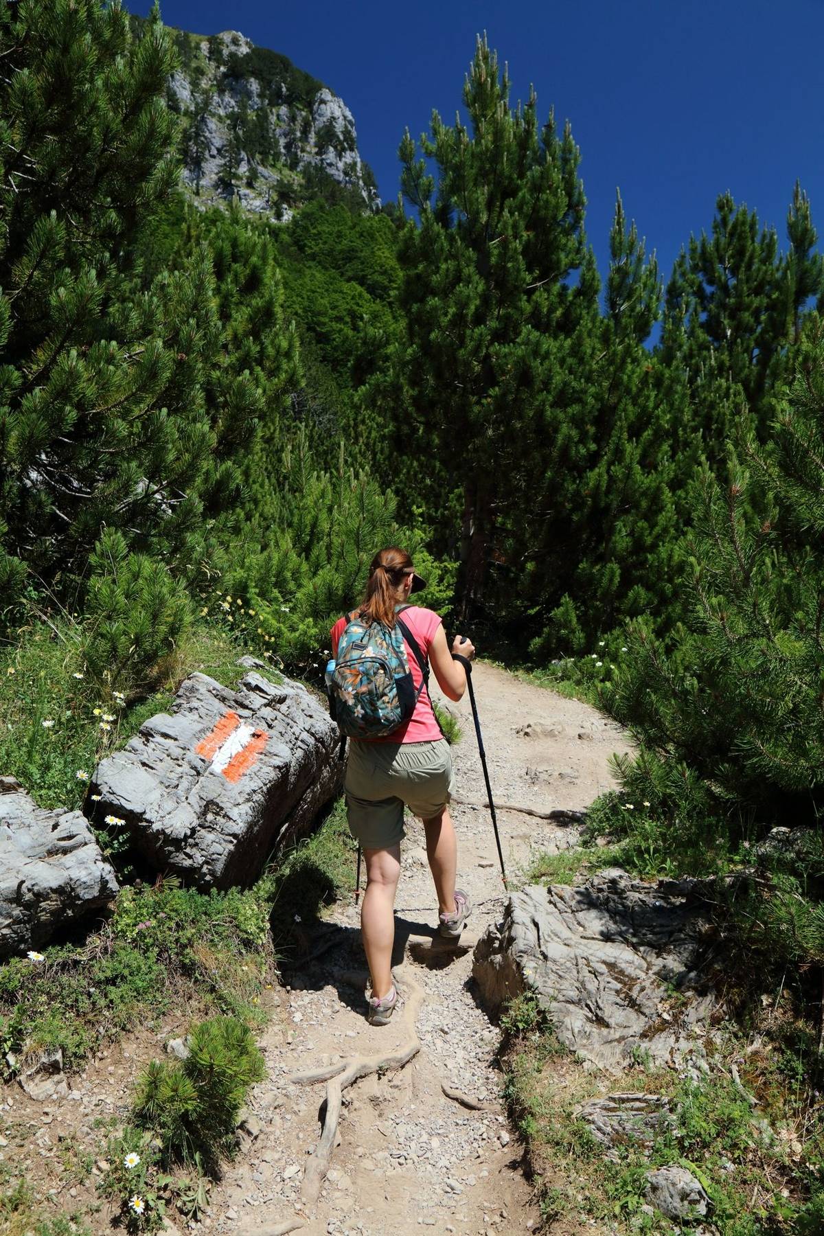 Woman tourist hiking in sunny weather in Theth Mountains in Albanian Alps (also known as Accursed Mountains). Alps of Albani…