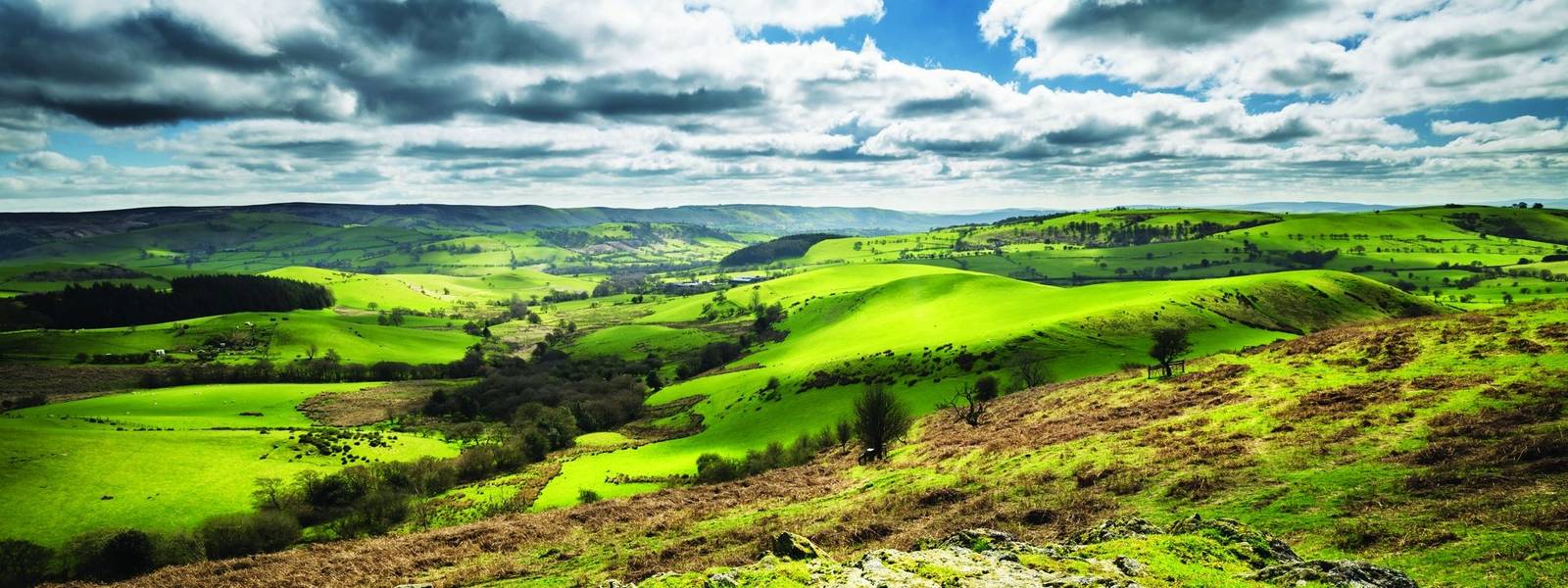 British Countryside Green Hills at Spring