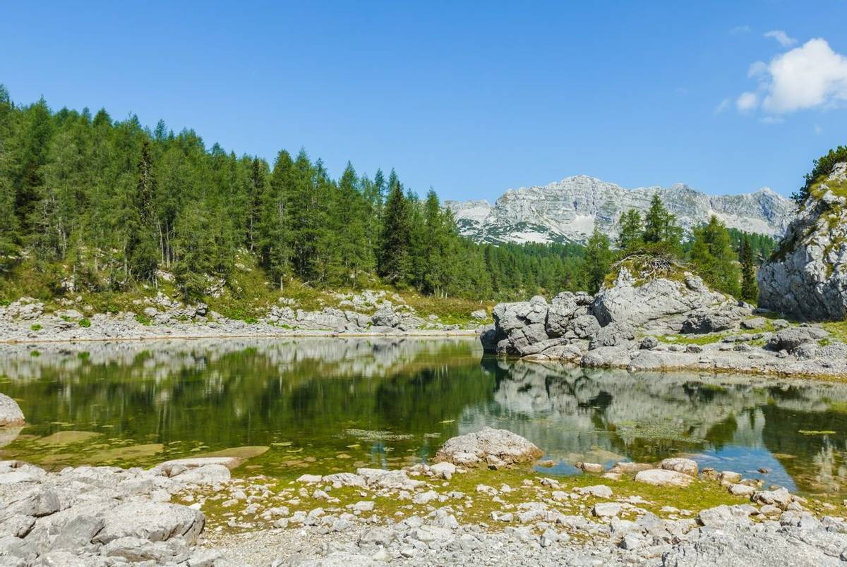 Slovenia - Julian Alps - Lake Bled - AdobeStock_89880584.jpeg