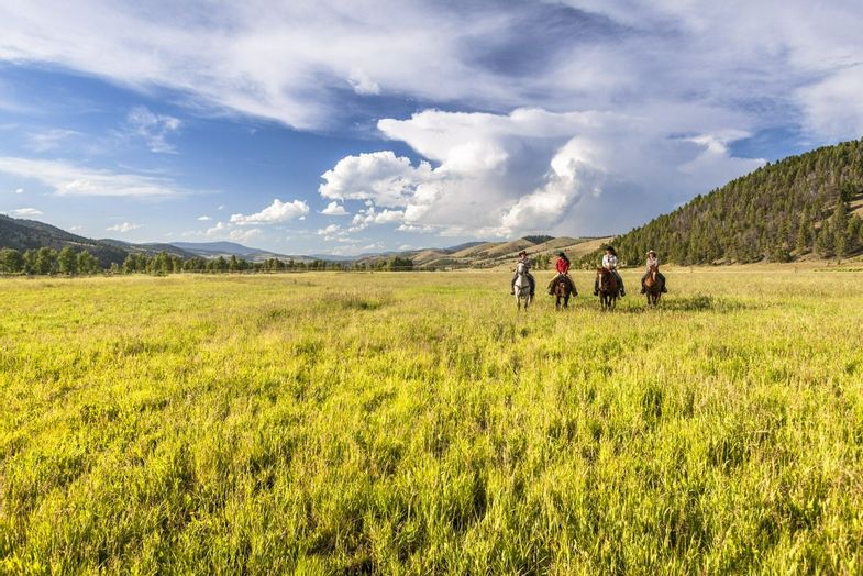 ranch-rock-creek-signature-images-Horseback-Riding-Through-Pasture.JPG