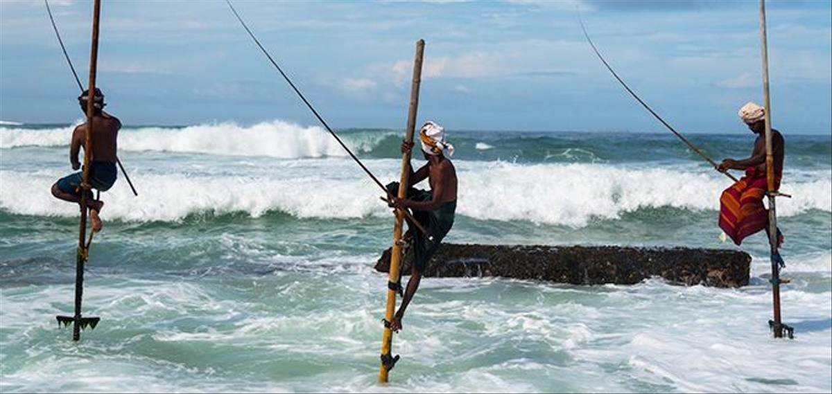 Sri Lanka Stilt Fishermen lsrge Shutterstock_460666720.jpg