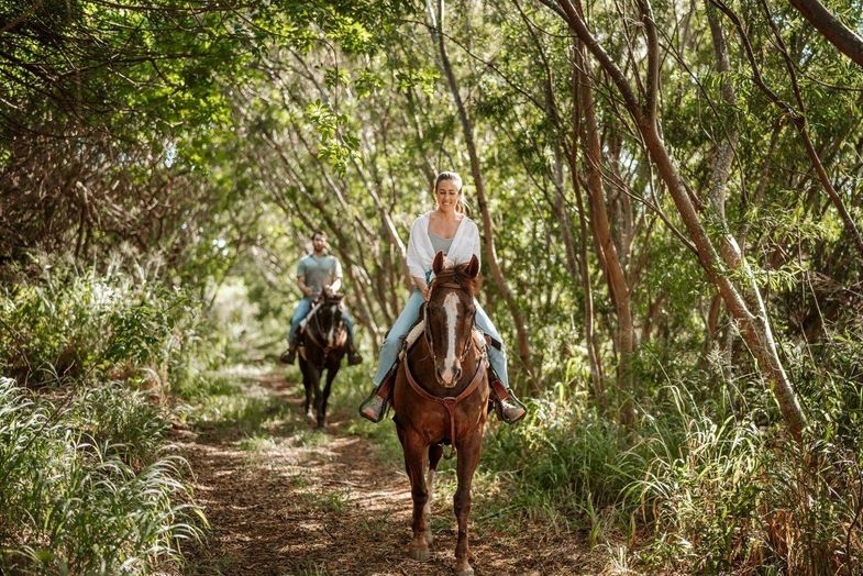 The Ritz-Carlton Kapalua horseback riding.jpg