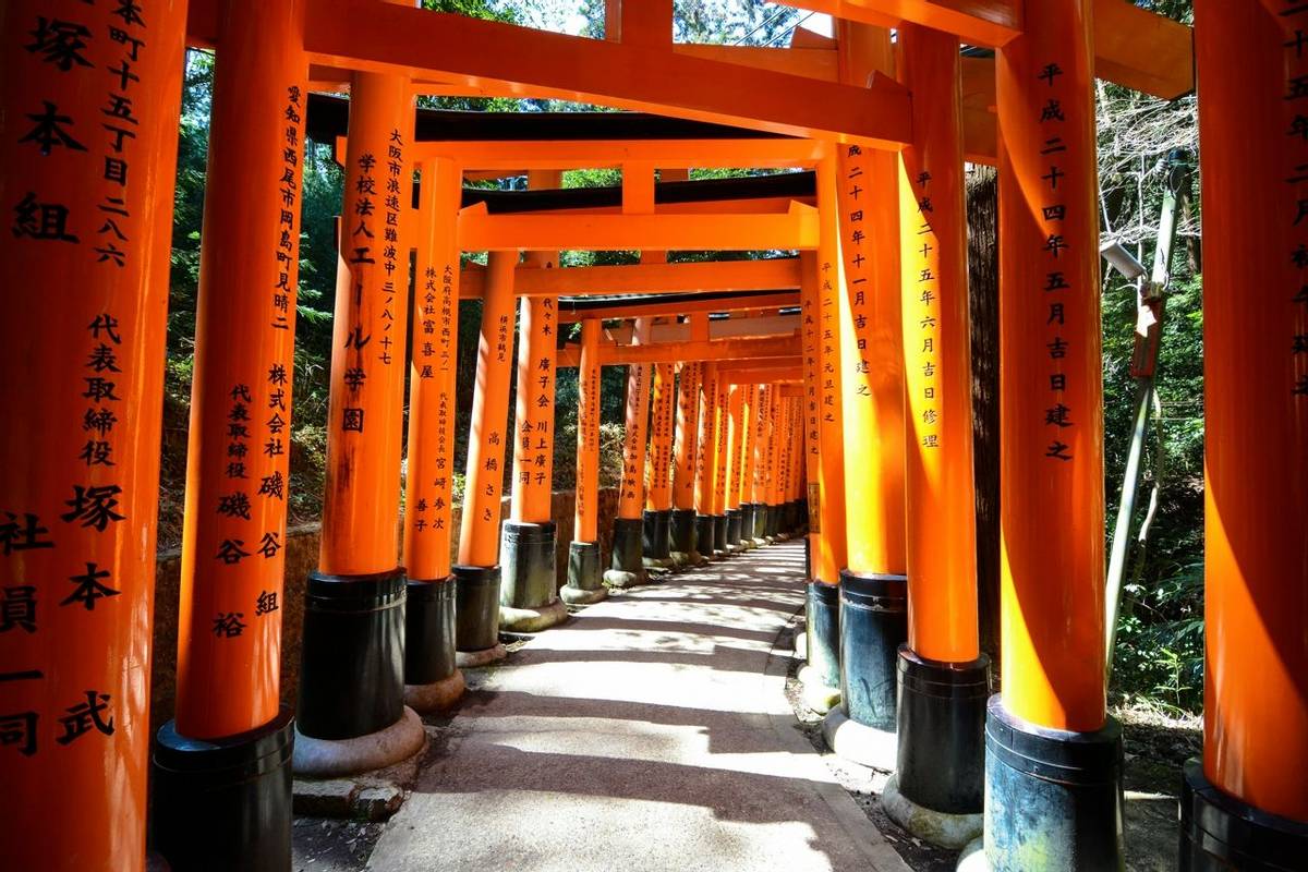 Japan - Crimson torii gates over a path -AdobeStock_107329895.jpeg