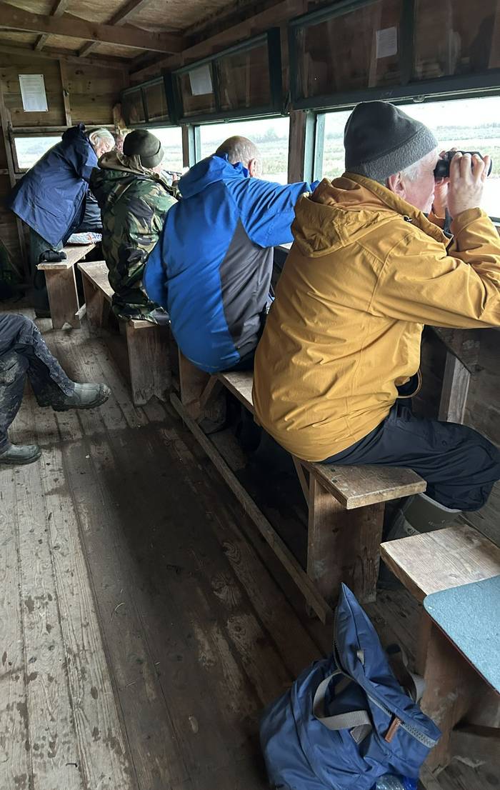 Walmsley Tower Hide.JPG