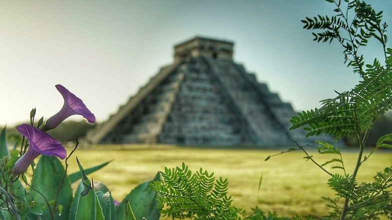 sacred-earth-journeys-mexico-maya-temples-of-transformation-chichen-itza-flower.jpg