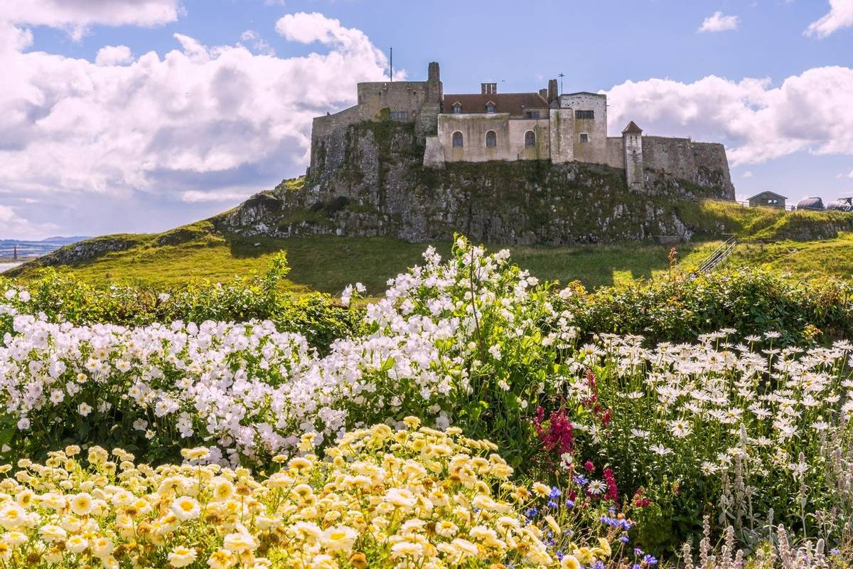 Lindisfarne castle, Holy Island, Northumberland, UK