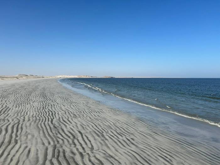 White Sands coastline © Alleyn Plowright, Feb 2026 tour