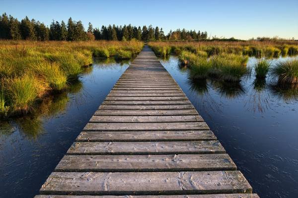 Hautes Fagnes, Belgium Shutterstock 473739040