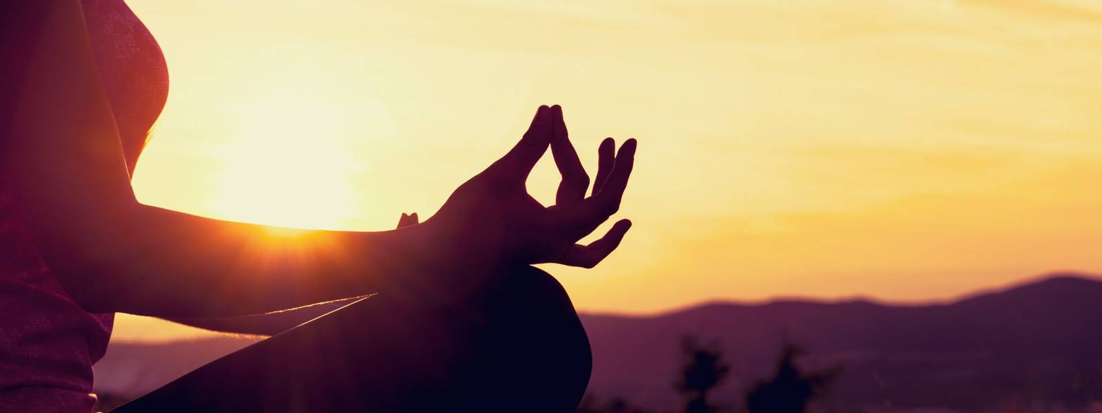 Young athletic woman practicing yoga on a meadow at sunset, silhouette