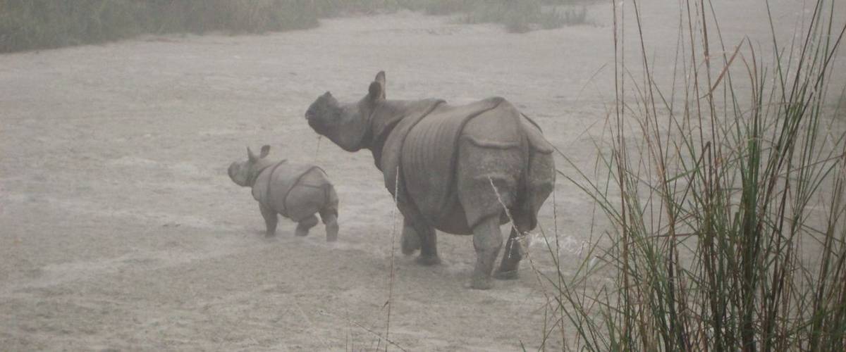 Chitwan National Park