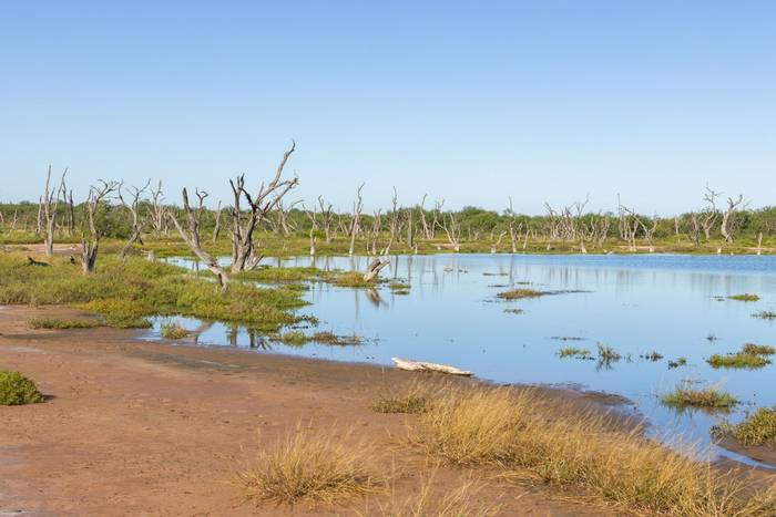 Chaco Lagoon © James Warren, May 2026 (2).jpg