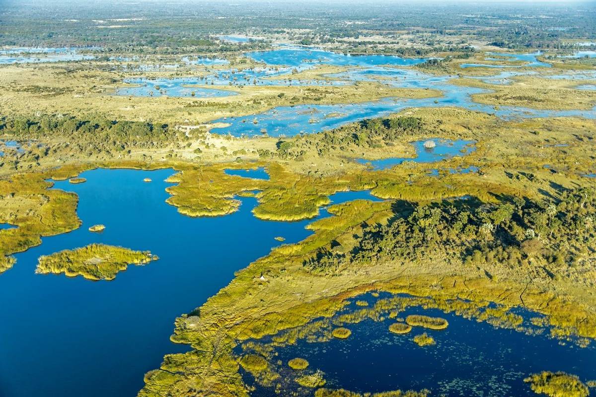 Okavango Delta Botswana Shutterstock 214660147