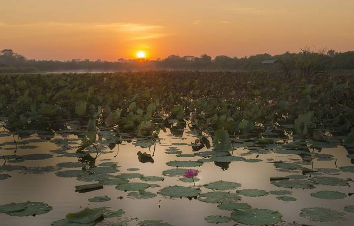 Sunrise over Shady Camp Billabong, Mary River, Darwin, Northern Territory, Australia. Sunrise over Shady Camp Billabong, Mary River, Darwin, Northern Territory, Australia.