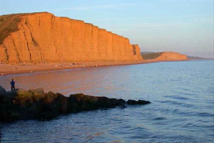 Dorset cliffs (Tom Brereton)