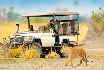 A Guide to Your First Safari