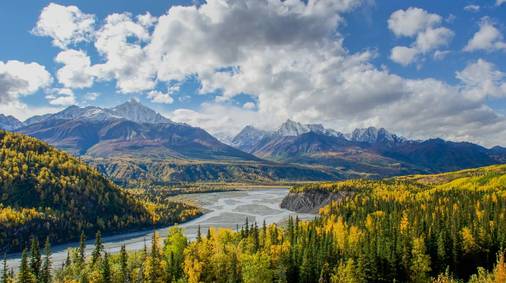 Alaska Wilderness & Wildlife