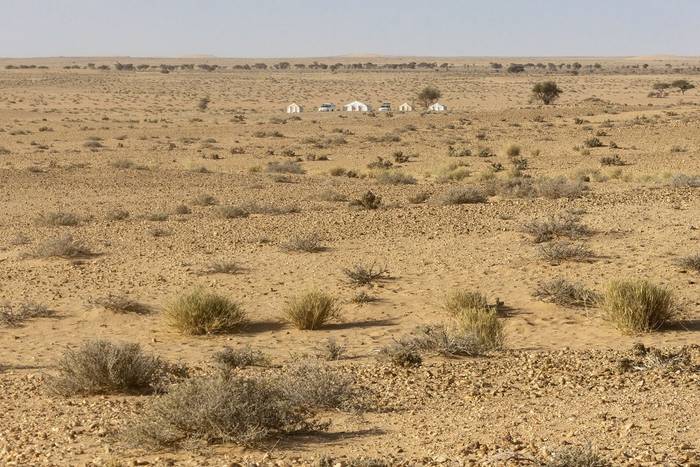 Desert Camp © Javier Elorriaga, February 2025
