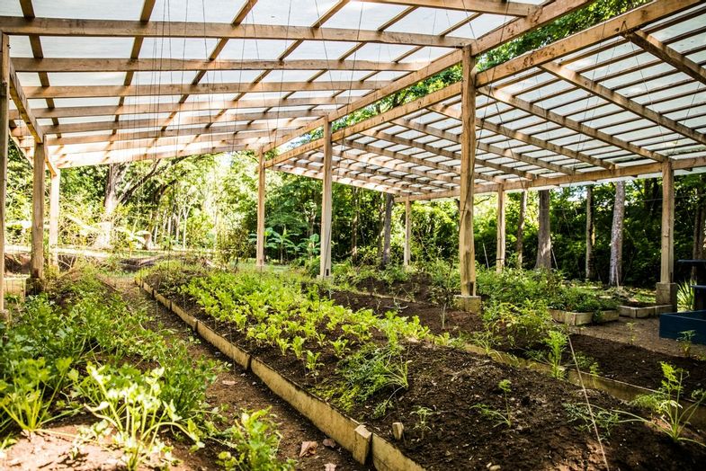 Hacienda Barrigona-greenhouse-118.jpg