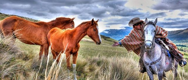 tierra-del-volcan-inner-vision-quest-ecuador-inner-vision-quest-ecuador-horses.jpg