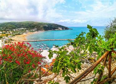 Flowers of Italy's Gargano Peninsula
