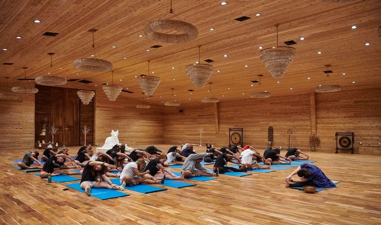 Eupepsia-wellness-resort-yoga-class-2.jpg