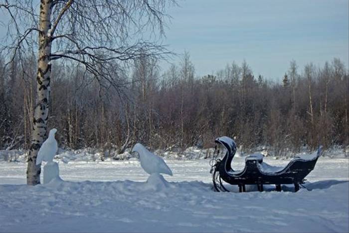 Snow sculptures and carriage (Jennifer Horn)