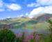 AdobeStock_51201818.jpeg