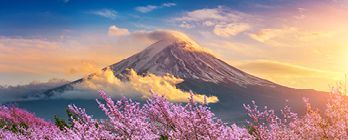 Japan’s Cherry Blossom & Majestic Mount Fuji