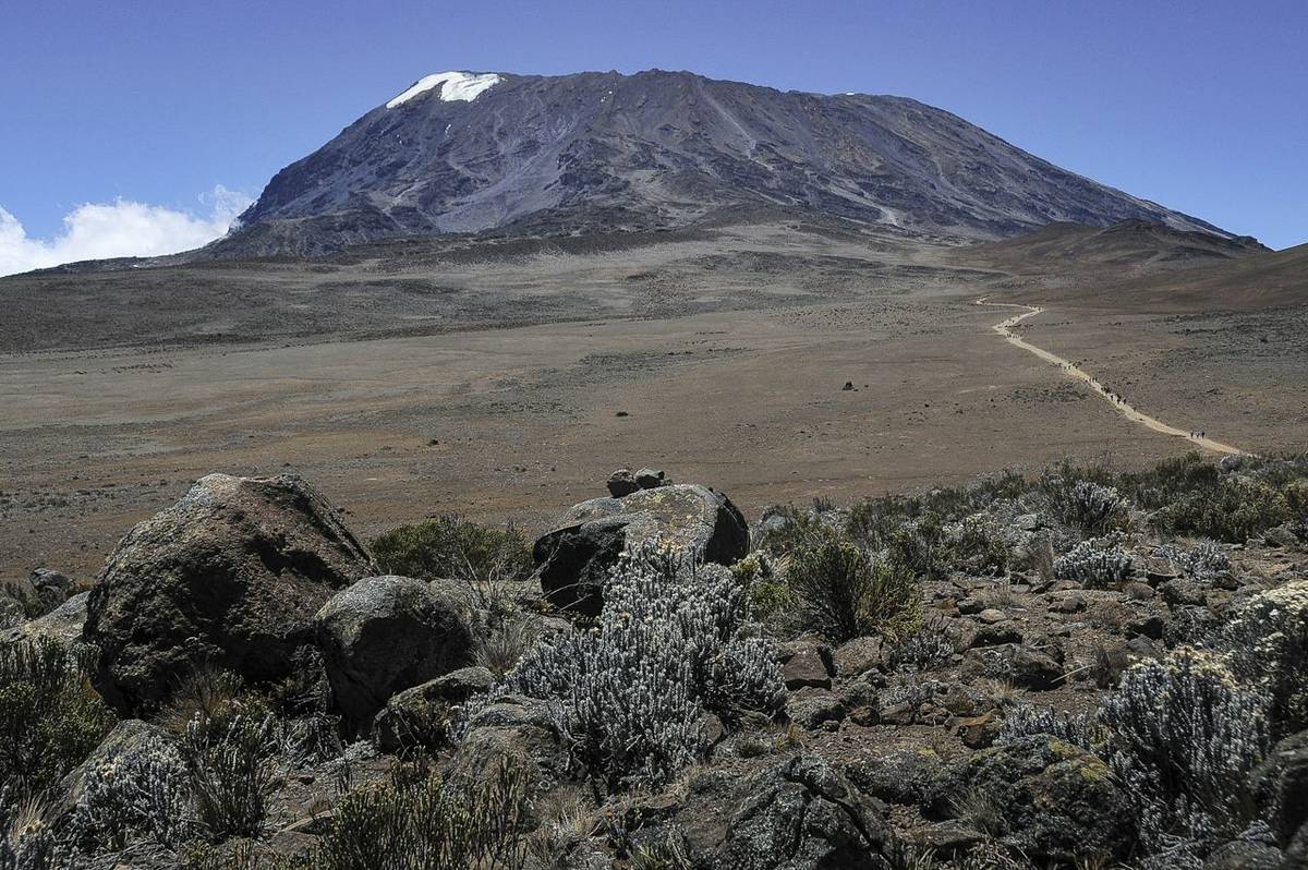 Kilimanjaro Marangu Route Kibo.jpg