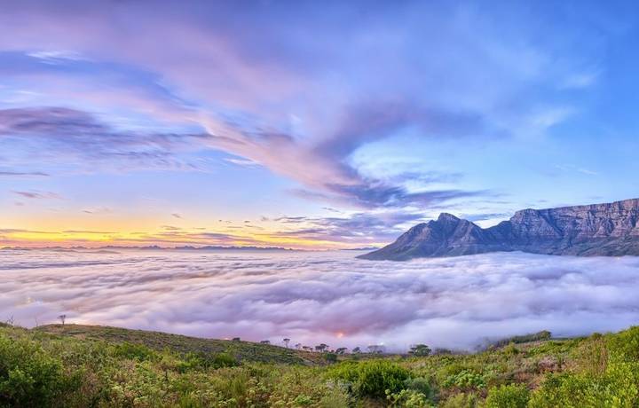 shutterstock_202524751.jpg shutterstock_202524751.jpg
