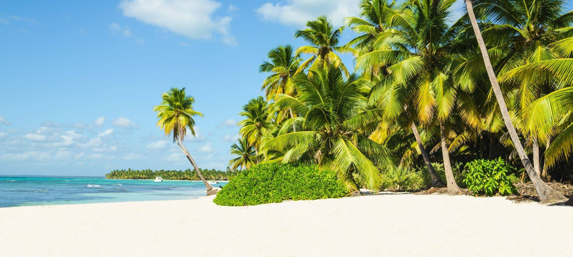 Jamaican Beach Shutterstock 198067640