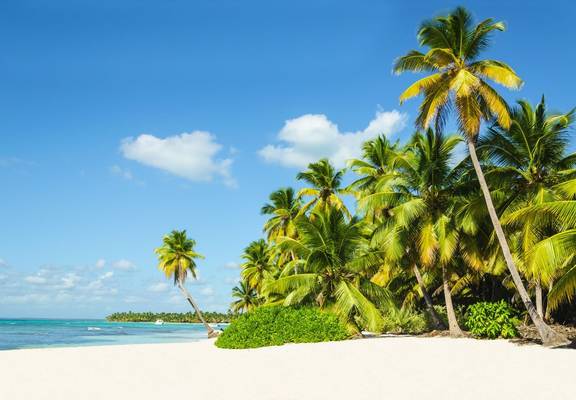 Jamaican Beach Shutterstock 198067640