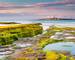 Coquet Island just of the coastline at Low Hauxley in Northumberland is an RSPB reserve