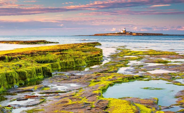 Coquet Island just of the coastline at Low Hauxley in Northumberland is an RSPB reserve
