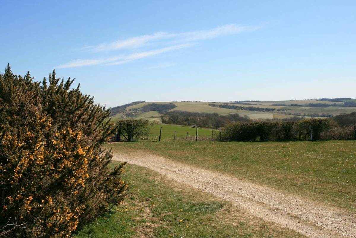 View South East from South Downs Way.JPG