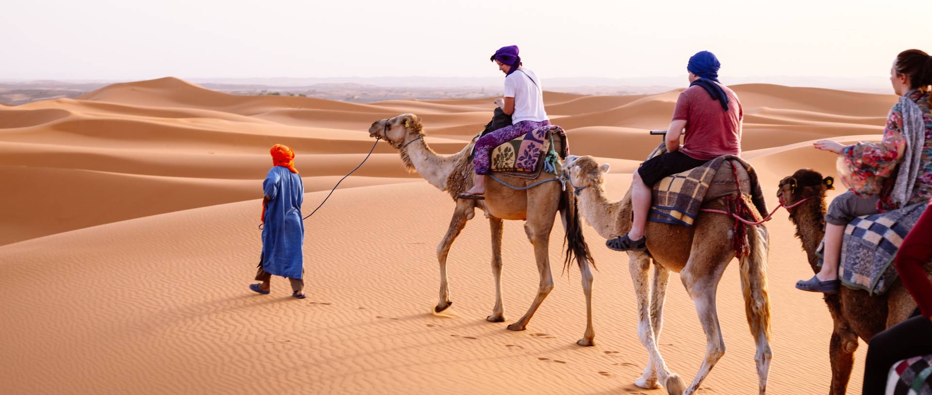 Camel Safari out in the sahara desert.jpg