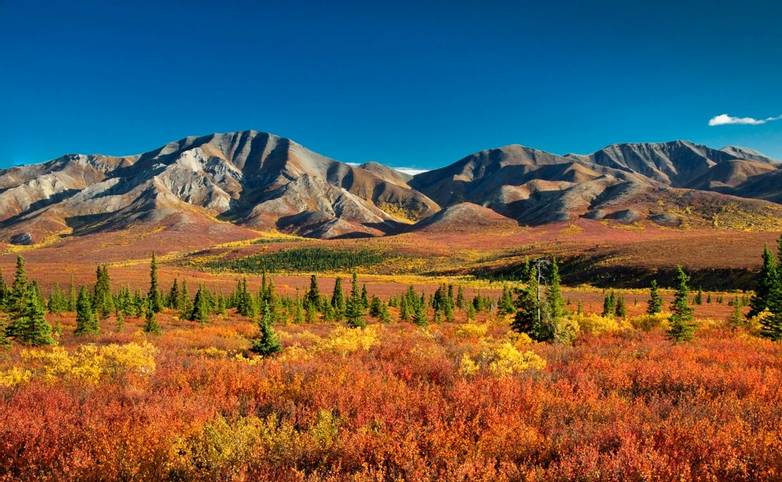 Autumnal Denali Nt Park Scenery with mountain range