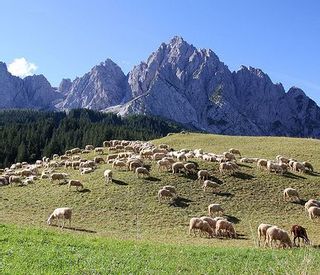 Italyscape-Dolomites-Cima Sappada.jpg