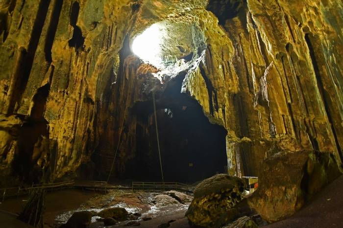 Gomantong Cave Interior (Lesley Hawkins)