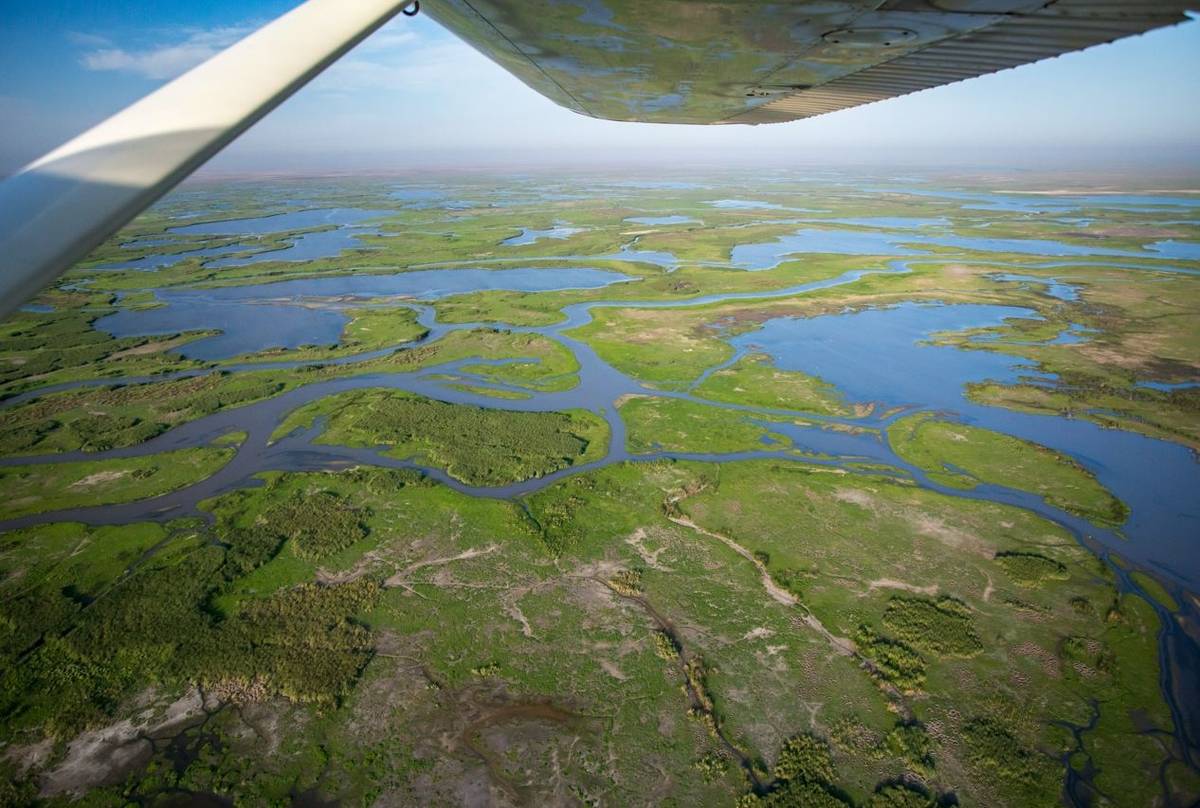 Northern Marshes 