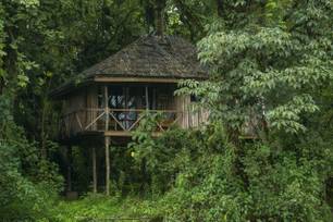 Bale Mountain Lodge.jpg